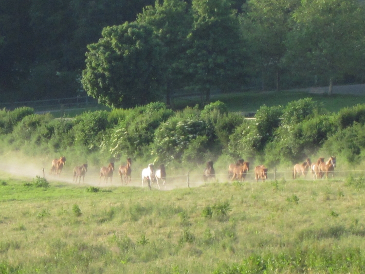 oberer Treibgang