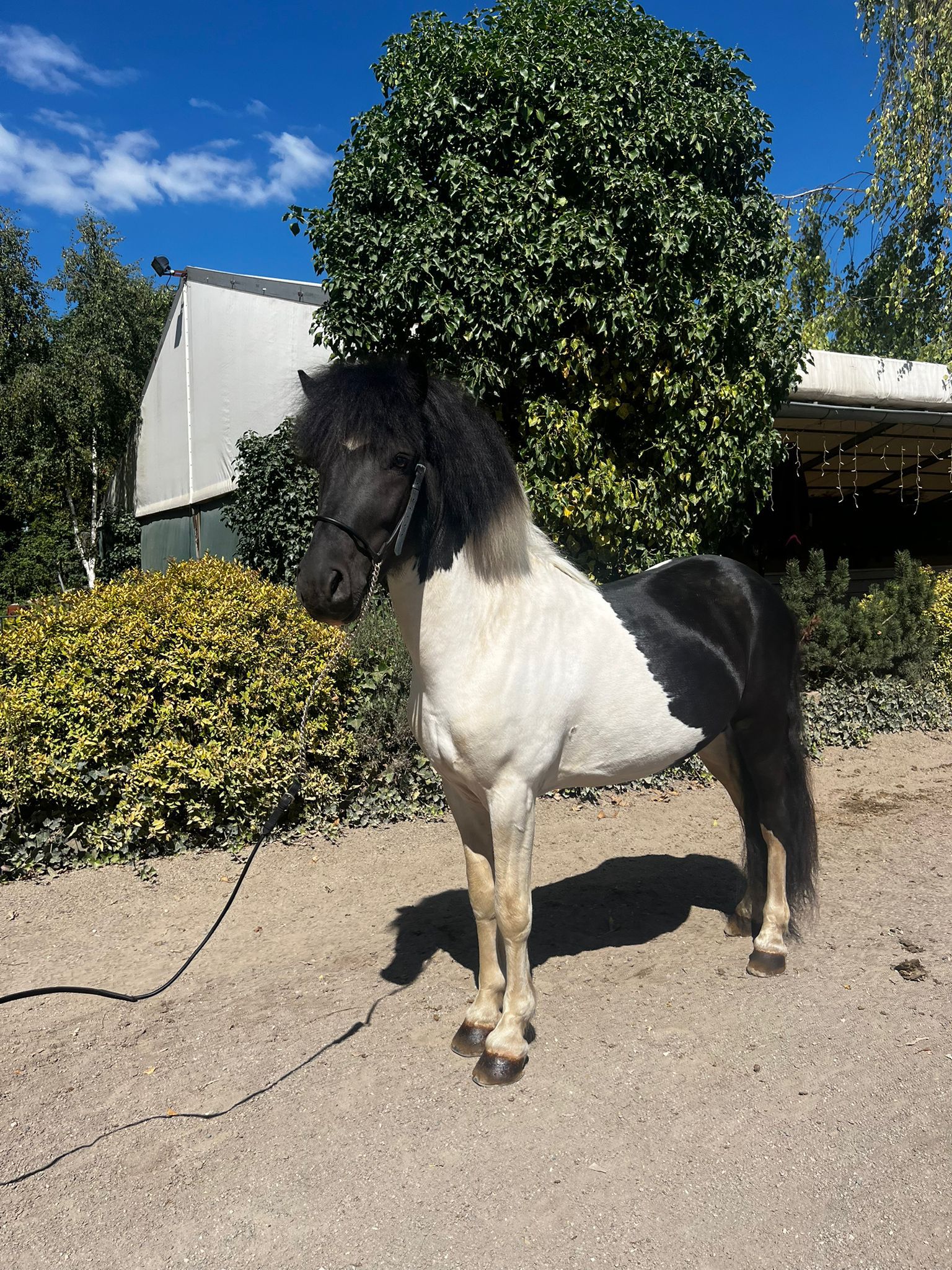 667d51ff-5623-47a2-a122-28f740ec7eff