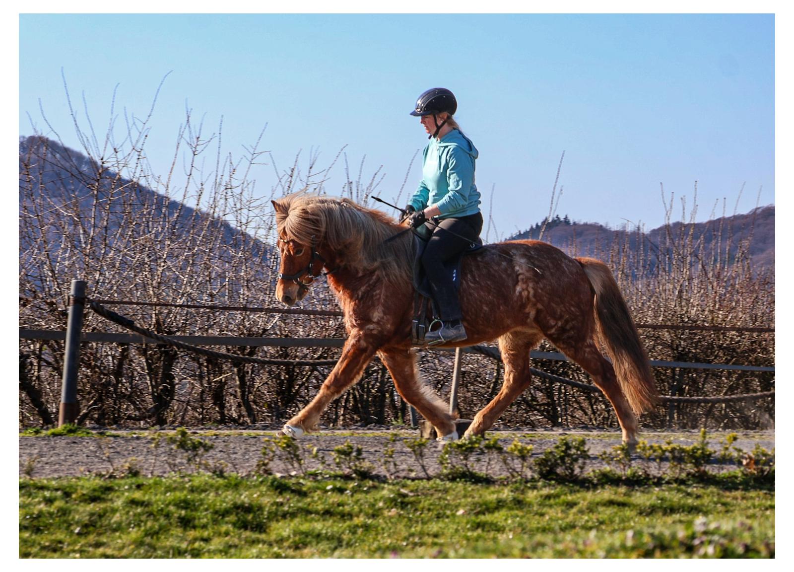 452d073f-1bf9-41e2-82cf-df763f349ad0