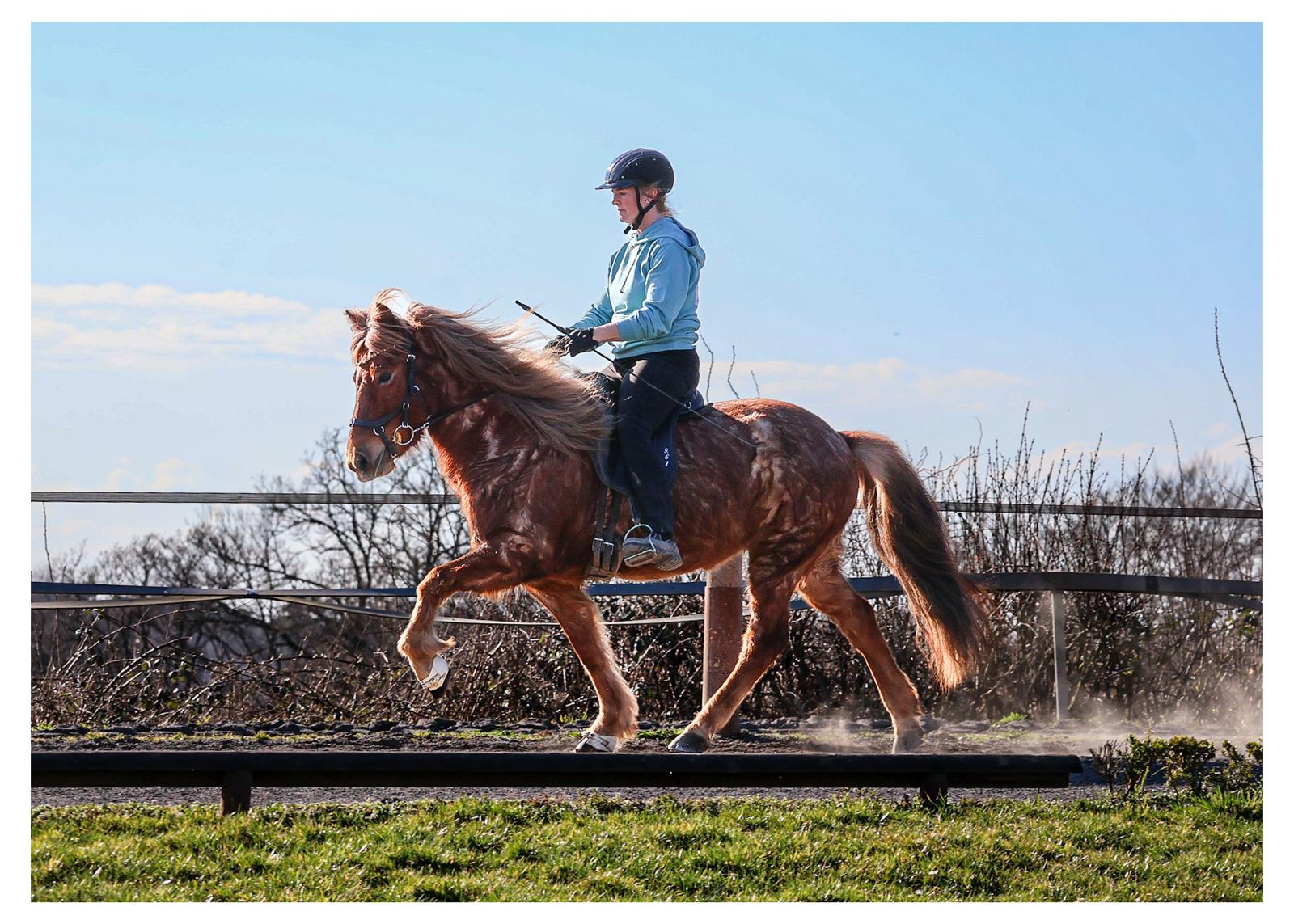 605ea023-8418-44a8-876b-e77e26dc8a8a