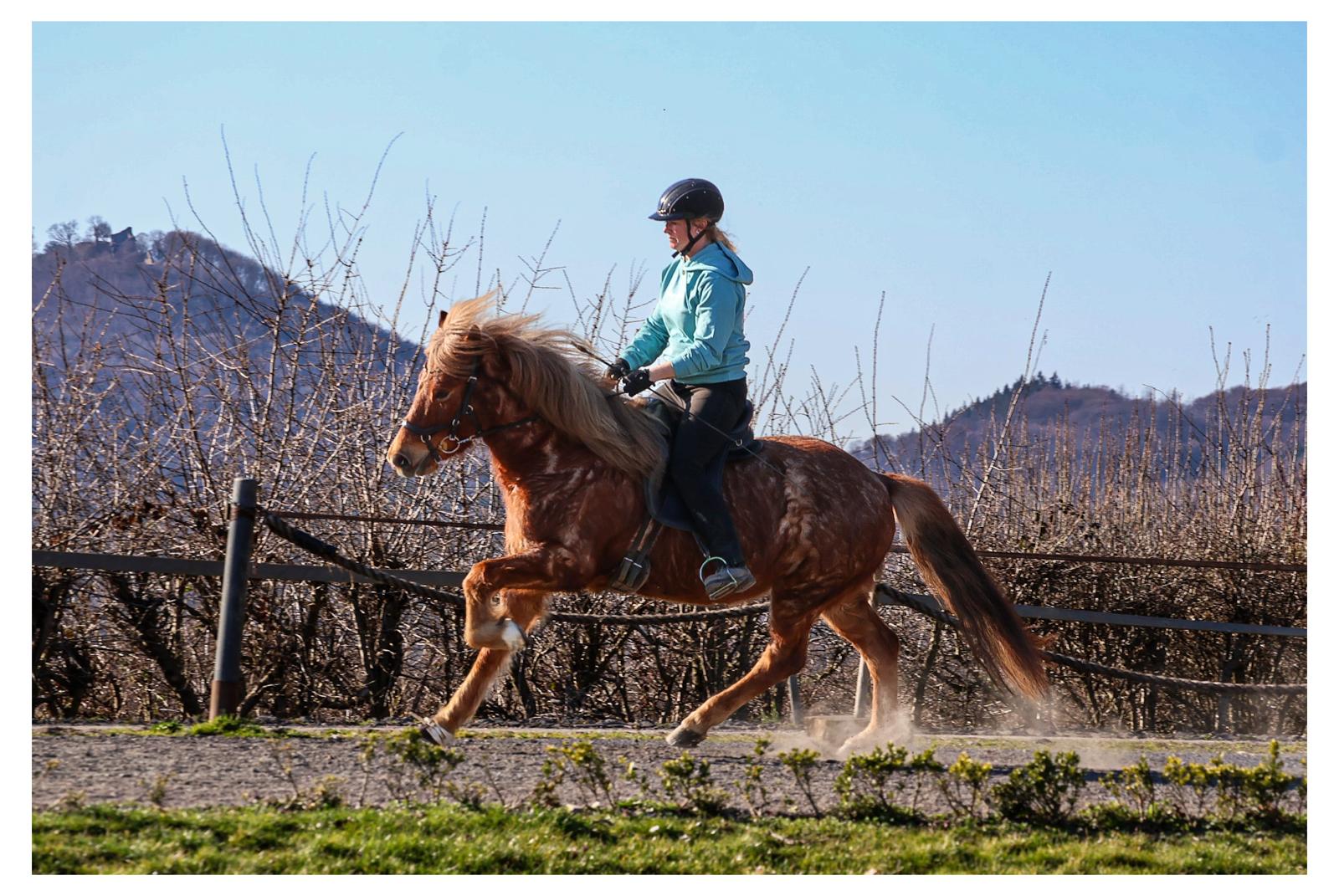 73397a85-ed22-41cb-89bd-c69028affa6c