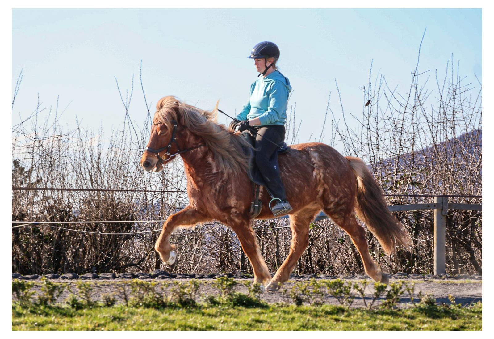 7341b2ad-8774-4a32-baae-c463000bde45