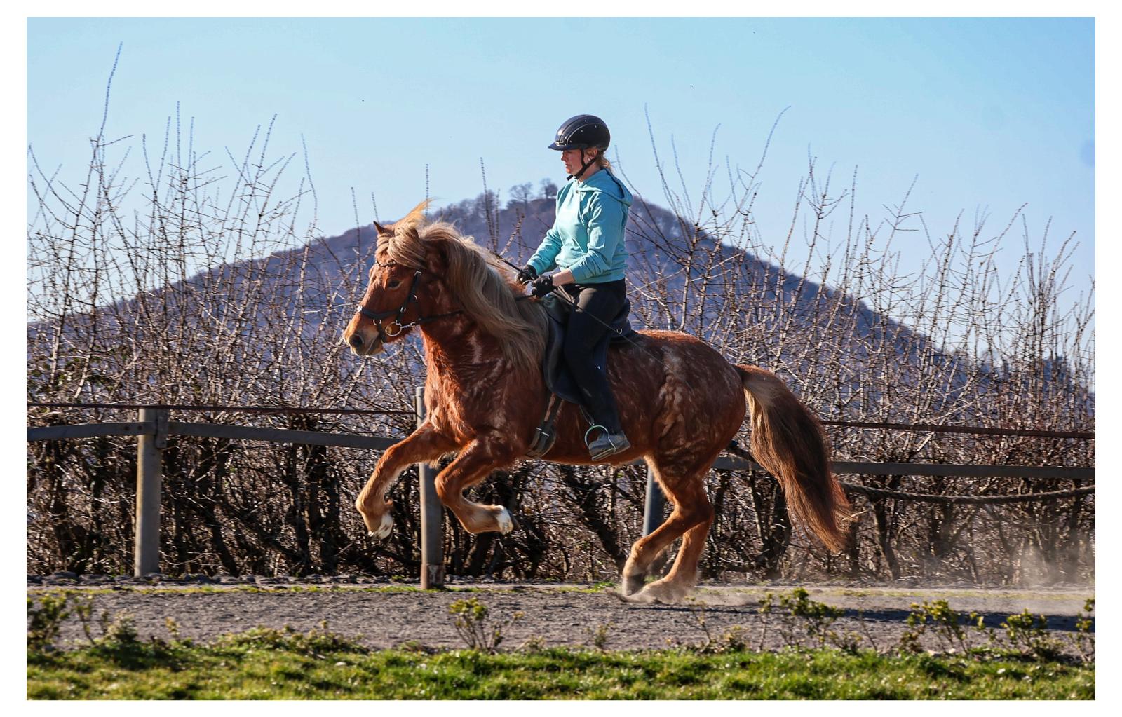 eb2cc769-dbb0-4e98-97ac-d3d0868069d0